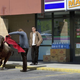 Researchers say fighting a bull as infrequently as once a week can still lead to a variety of acute and chronic health problems among bullfighters.